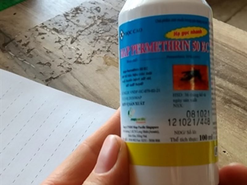 Thuốc muỗi PERMECTIN 50ec